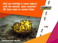 Protech Pest Control image 8